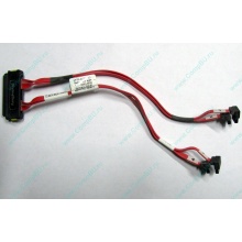 SATA-кабель для корзины HDD HP 451782-001 459190-001 для HP ML310 G5 (Комсомольск-на-Амуре)