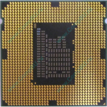 Процессор Intel Celeron G540 (2x2.5GHz /L3 2048kb) SR05J s.1155 (Комсомольск-на-Амуре)