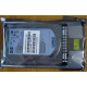 HDD 146.8Gb HP 360205-022 404708-001 404670-002 (Комсомольск-на-Амуре)