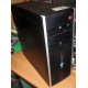 БУ компьютер HP Compaq Elite 8300 (Intel Core i3-3220 (2x3.3GHz HT) /4Gb /250Gb /ATX 320W) - Комсомольск-на-Амуре