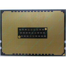 AMD Opteron 6128 OS6128WKT8EGO (Комсомольск-на-Амуре)