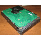 Жесткий диск 300Gb 15k Seagate Cheetach ST3300656SS 15K.6 Dell 9CH066-050 6G SAS (Комсомольск-на-Амуре)